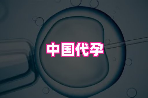 821孕网 4